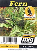A-MIG-8450 Plants: Fern A-MIG-8450