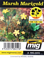 A-MIG-8451 Plants: Marsh marigold A-MIG-8451