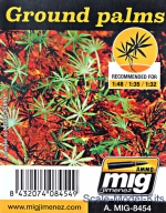 A-MIG-8454 Plants: Ground palms A-MIG-8454