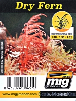 A-MIG-8457 Plants: Dry Fern A-MIG-8457