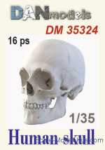 DAN35324 Accessories for dioramas. Human skull, 16 pcs