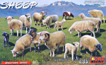 MA38042 Sheep